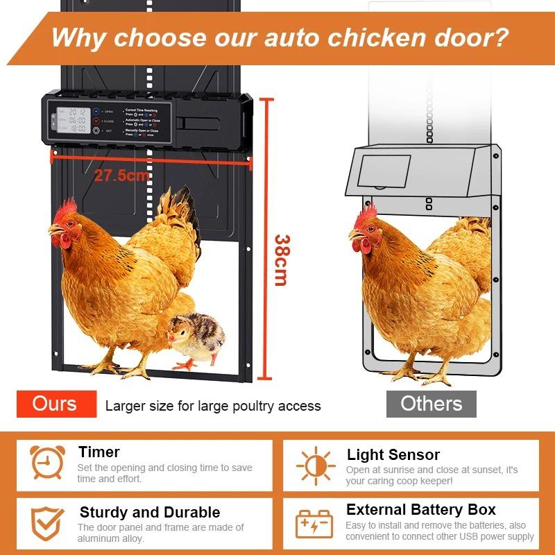 Large Automatic Chicken Door with Timer Control and LCD Display for Weatherproof Coops Powered by 3 AA Batteries (Batteries Not