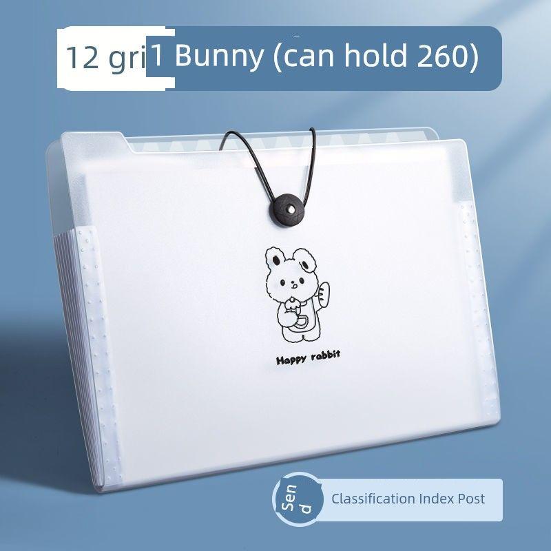 Large Capacity File Holder Ins Good-looking Paper Buggy Bag Organize Fantastic Middle School Students Book Clip Subject Classification Test Paper Clip
