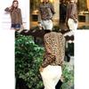 Wonderful New Women Leopard Print Chiffon Long Sleeve Slim Casual Blouse For Elegant Style