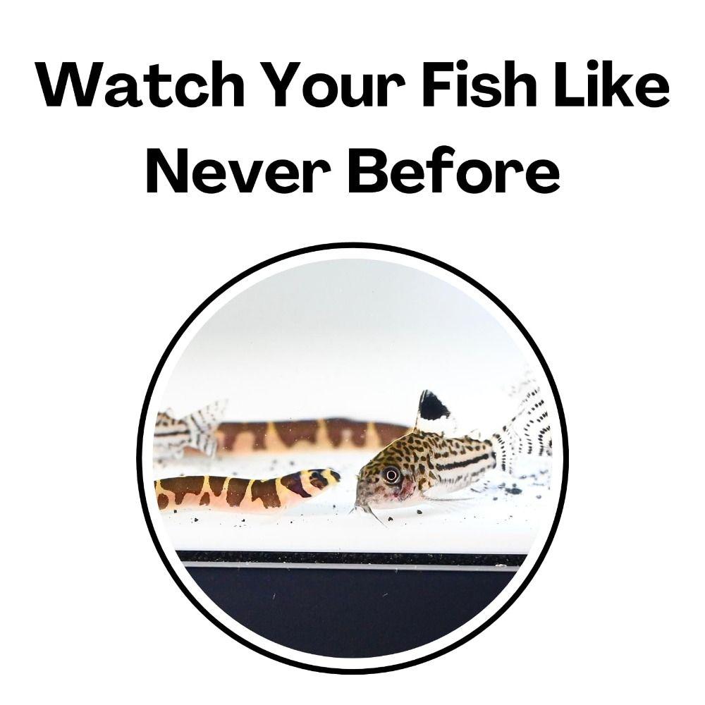 Under Gravel Tunnel Aquarium Decoration Tunnel Caves Curve Two Hole Fish Tank Decor