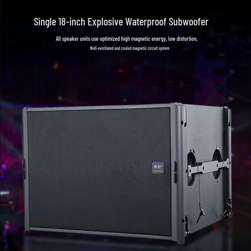 Weishu XZ6100 Professional Dual 10-inch Line Array Speaker