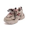 ins Korean version mesh dad shoes women's 2025 spring new breathable female student sports shoes heightening casual shoes G26