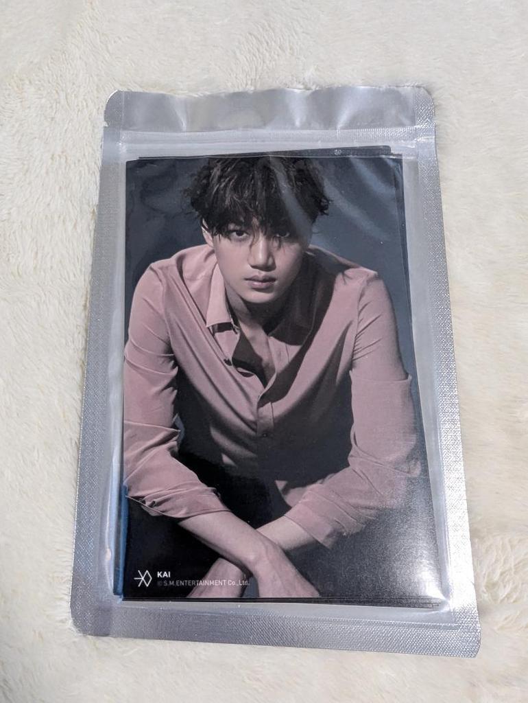 [USED] EXO SING FOR YOU 4×6 Photo Set Photos