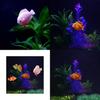 Pești și animale marine – Decorul acvariului