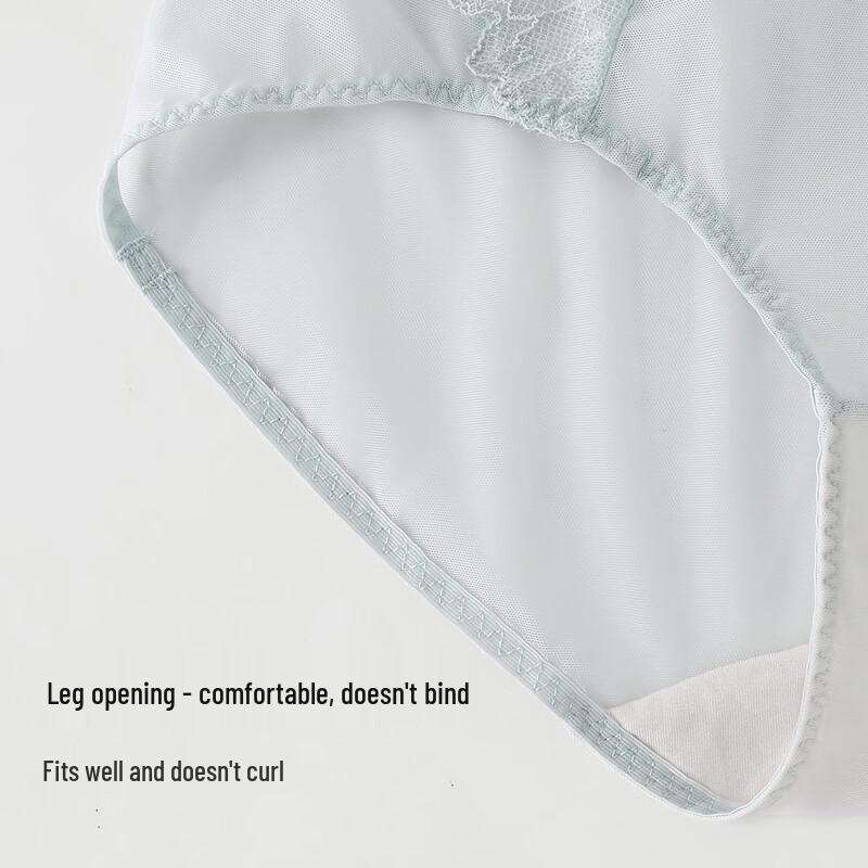 Oudifen Women's Lace Mesh Mid-Waist Briefs XP4504