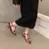 Fashion Mid Heels Women Sandals Pointed Toe Shoes Elegant Slippers 2025 Designer Pumps Flip Flops Trend Slides Sexy Sandalias De Mujer