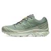 XT-6 Gore-Tex 'Desert Sage Lily Pad' Men's L47292000