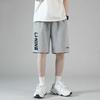 Li Ning Table Tennis Collection Casual Shorts Unisex Gray AKSU747-2