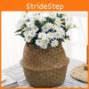 Flower Chrysanthemum Bouquet For Home Decor Creative Photography Props