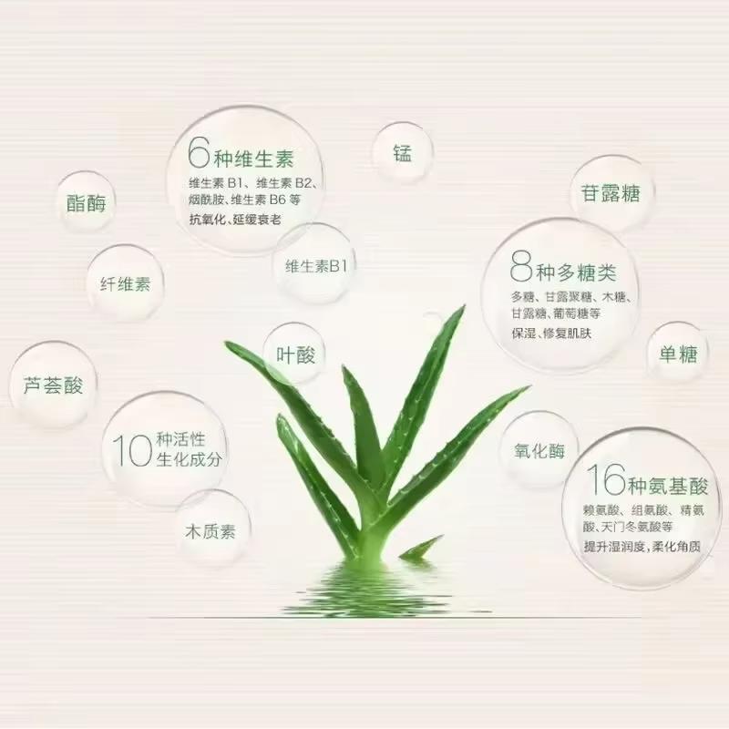 99% Aloe Vera Erweichungspuder Wasserfester, feuchtigkeitsspendender Concealer Foundation Festes Make-up Ölkontrolle Gesichts-Make-up Kosmetik