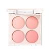 XIXI Diffuse Butterfly Blush: Korean-Style, Matte, Four-Color Palette with Natural Contouring and Color Payoff.