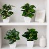 Desktop Ornament Home Decor Ring Plastic Green 1 Pc