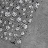 Crystal White Flower Leaves Petal Wet garden Spring Charming Elegant 5D Nail Art Stickers Rhinestone Adhesive Manicure Decals