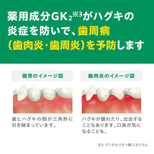 Gum and Dental Paste 120g ()