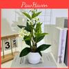 Small Jump Chrysanthemum Rainflower Artificial Green Plant For Decor Interior