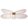 Chic Polyester Dragonfly Wings Transparent Mesh Iridescent Fairy Elf Wings Shimmer Lightweight Costume Wings Halloween