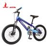 PHOENIX Beta TT 20-inch Student Mountain Bike