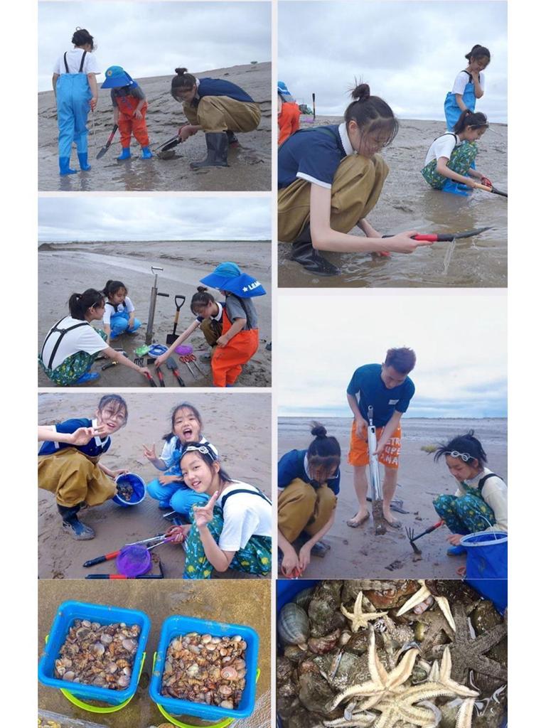 Tide-Chasing Beach Tool Set: Kids' Clam Diggers & Crab Catching Gear