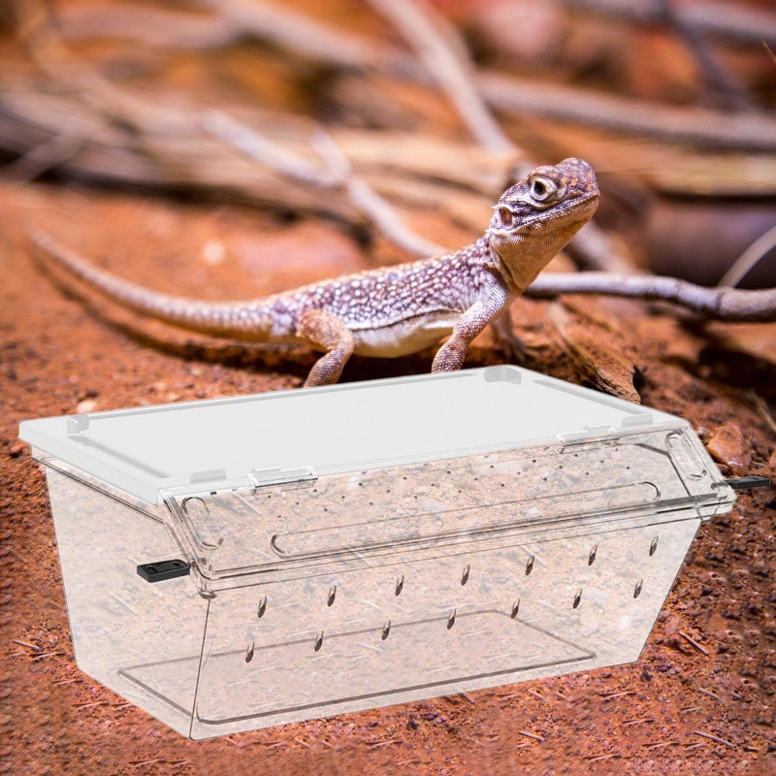 

Reptile Breeding Box Animal Habitat Cage Enclosure Breathable Transparent Terrarium for