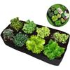 Fabric Raised Garden Bed 6x3x1ft Garden Grow Bed Bags for Growing Herbs, Flowers and Vegetables 128 Gallon