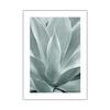 Scandinavian Nature Plant Palm Leaf Shell Beach Canvas Painting Poster Seaside Landscape Print Wall Art Picture Home Decoration