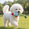 Cani – Giocattoli per cani
