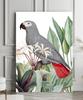 Poster Grey Parrot Plants