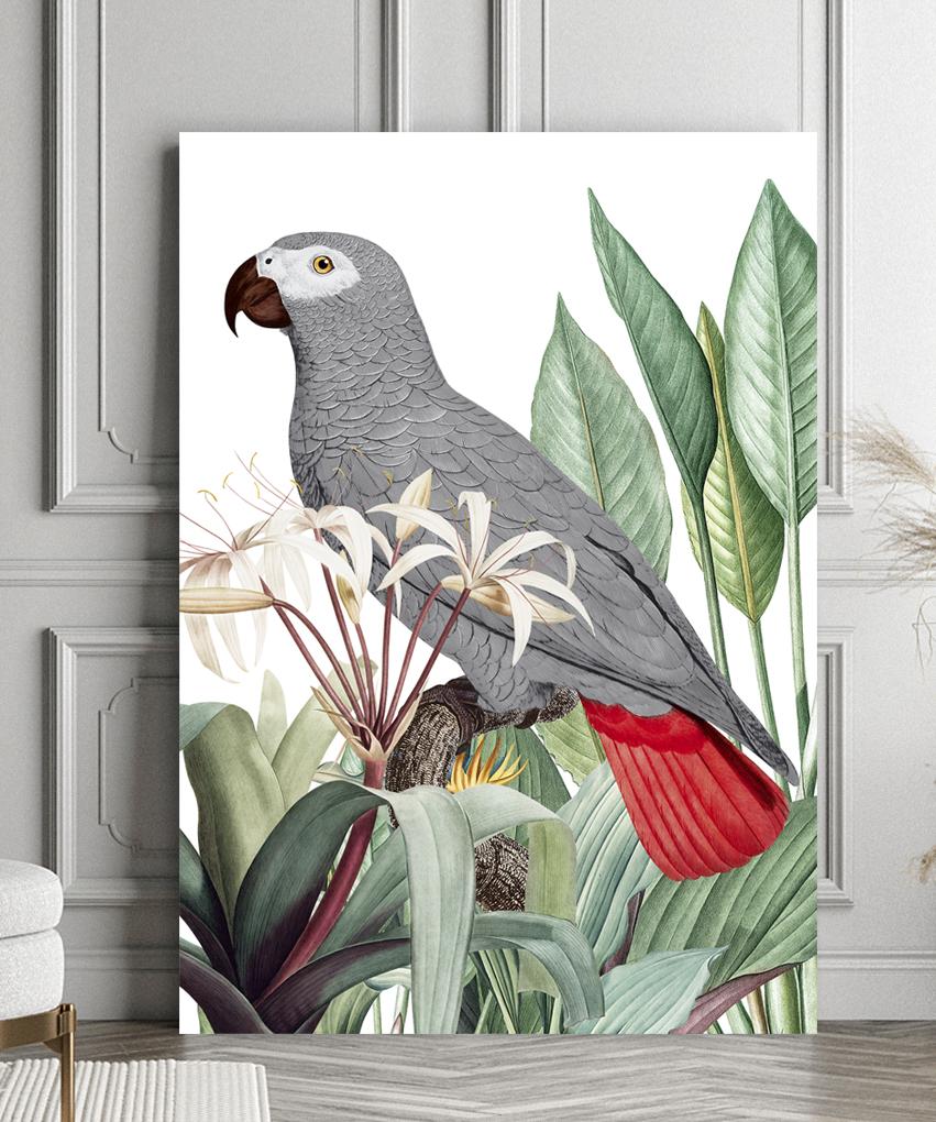 Poster Grey Parrot Plants