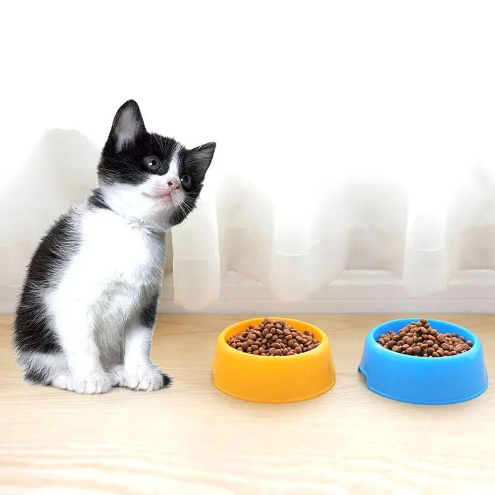 Plastic Cat Bowl Round Shape Cat Plates New Cat Food Bowl Pet Feeding