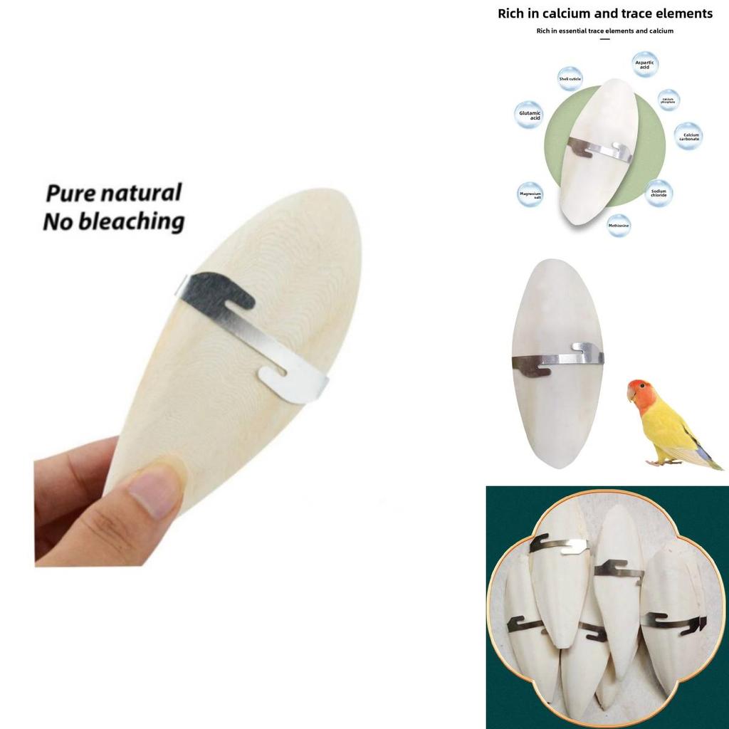 Pet Bird Chewing Treats With Odorless Calcified Cuttlefish Bone For Parrots And Small Birds