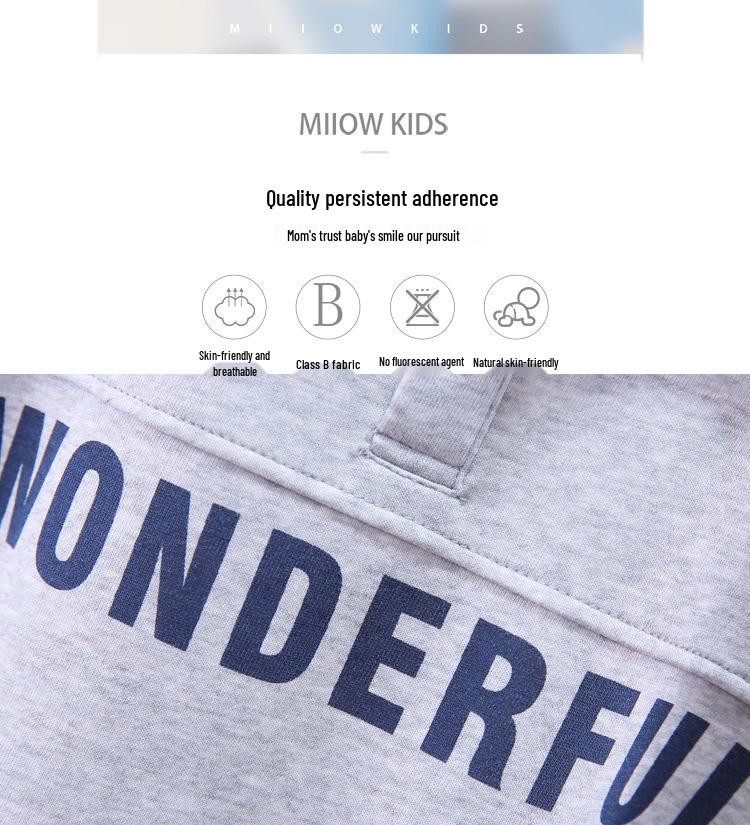 Boys' Polo Sweatshirt with Turn-Down Collar - Handsome Casual Top for Kids, Autumn Wear