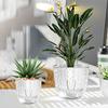 Hydroponic Plant Vase with Cotton Rope Plastic Creative Flowerpot Lazy Self Watering Vase Plant Pot for Home Garden Decoration