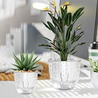 Hydroponic Plant Vase with Cotton Rope Plastic Creative Flowerpot Lazy Self Watering Vase Plant Pot for Home Garden Decoration