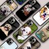 English Bulldog Pug Magnetic Phone Case For APPLE iPhone 17 Air 16 14 13 12 Pro Max 15 Plus Wireless Charge With MagSafe Cover