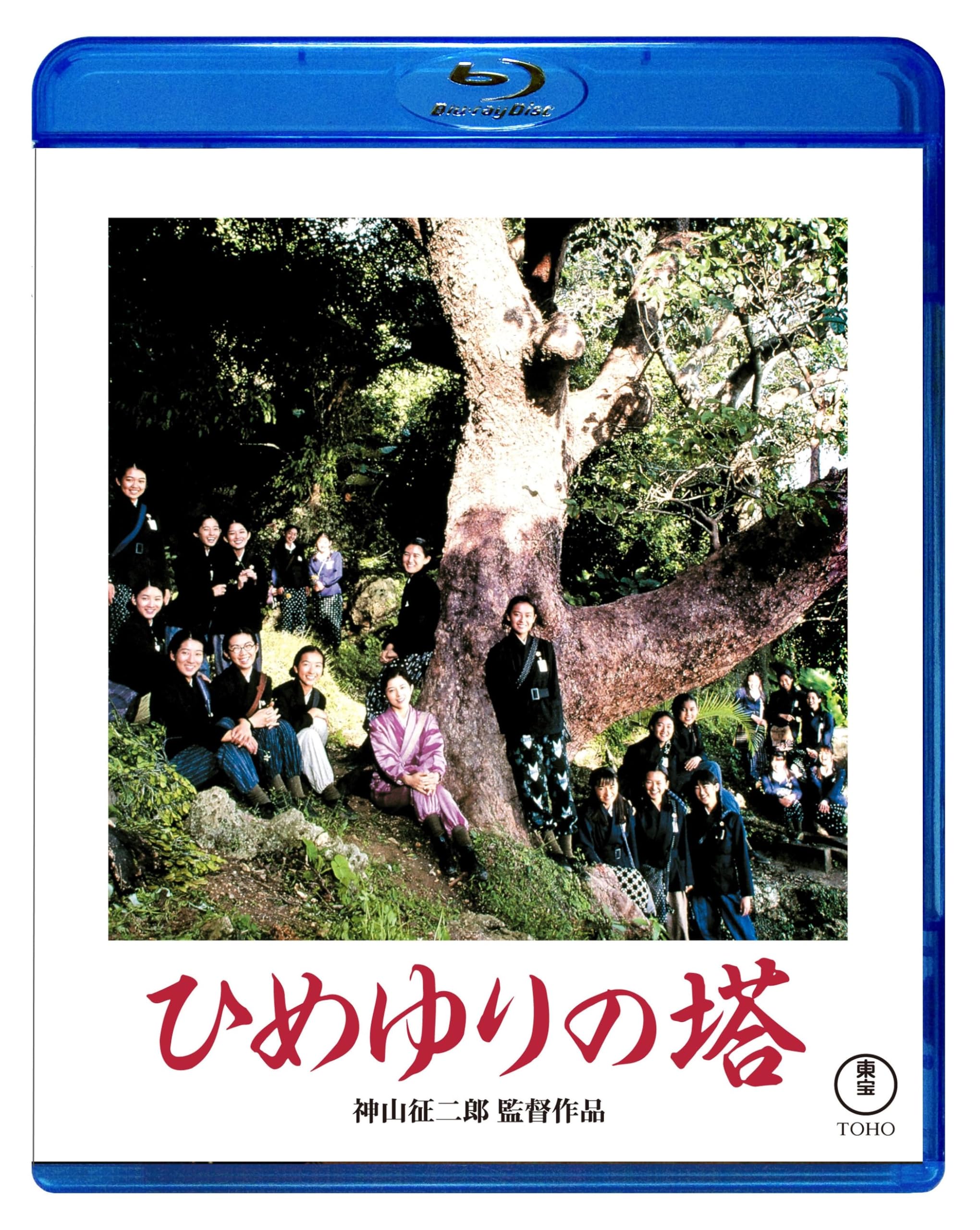 

Himeyuri Tower Blu-ray