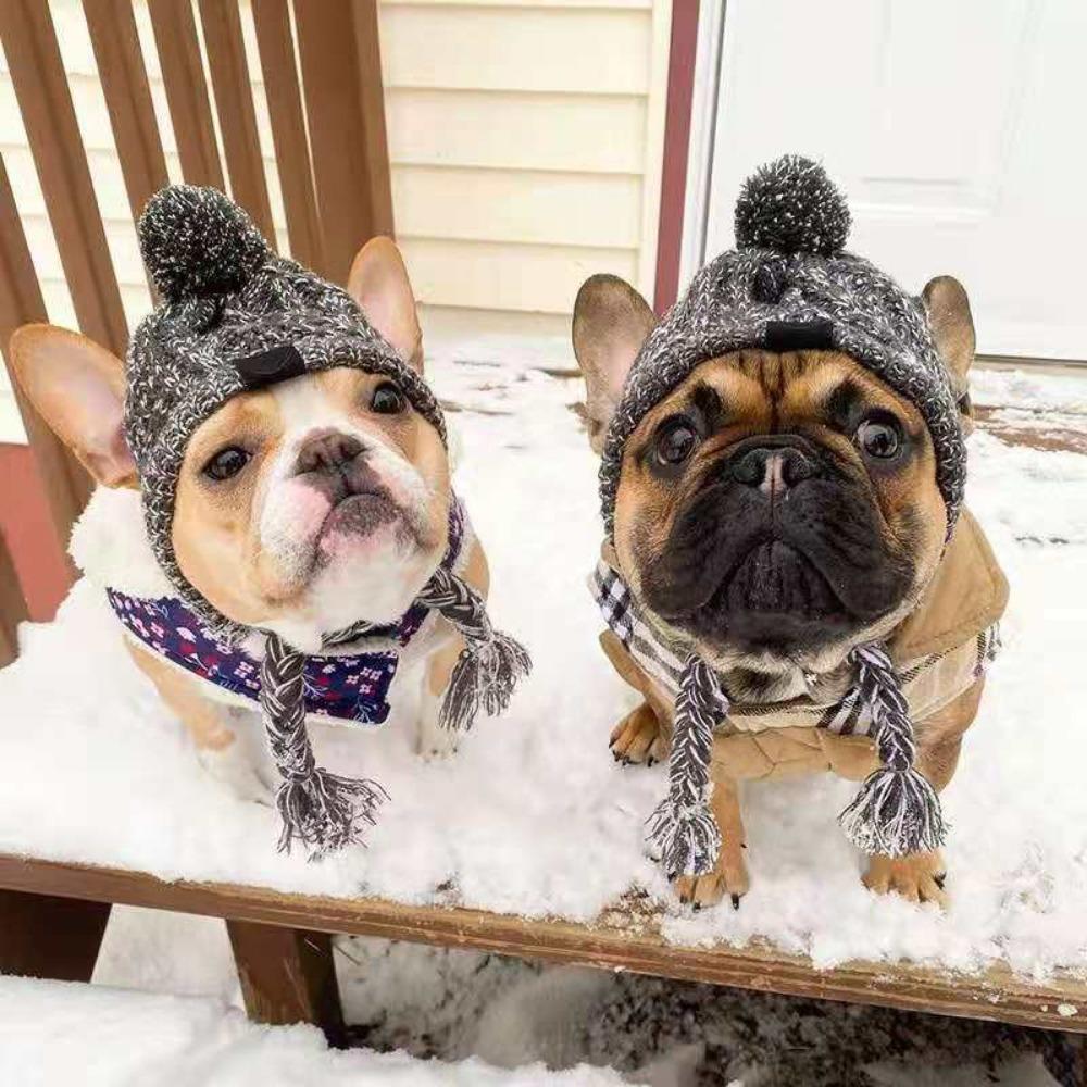 Pet cat hat French fight pug big dog cat dog pet supplies autumn and winter dog wool