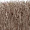 Feather1 Bundle Piume di Struzzo Naturali Filo Colorato 10-15/15-18CM Piumaggio Soffice Per Abiti Borsa Decorazione Artigianato Cucito