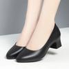 Women Black Shallow Mouth Low Heels Spring Autumn Fashion Round Head Thick Heeled Lightweight Work Office Single Shoes
