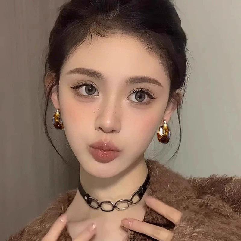 Autumn and Winter Maillard Amber Earrings Women's Niche Design High-end Ear Buckles Unique Temperament Versatile Earrings