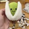 Little Red Book Cute Cucumber and Potato Plush Toy - Funny Children's Vegetable Doll Gift