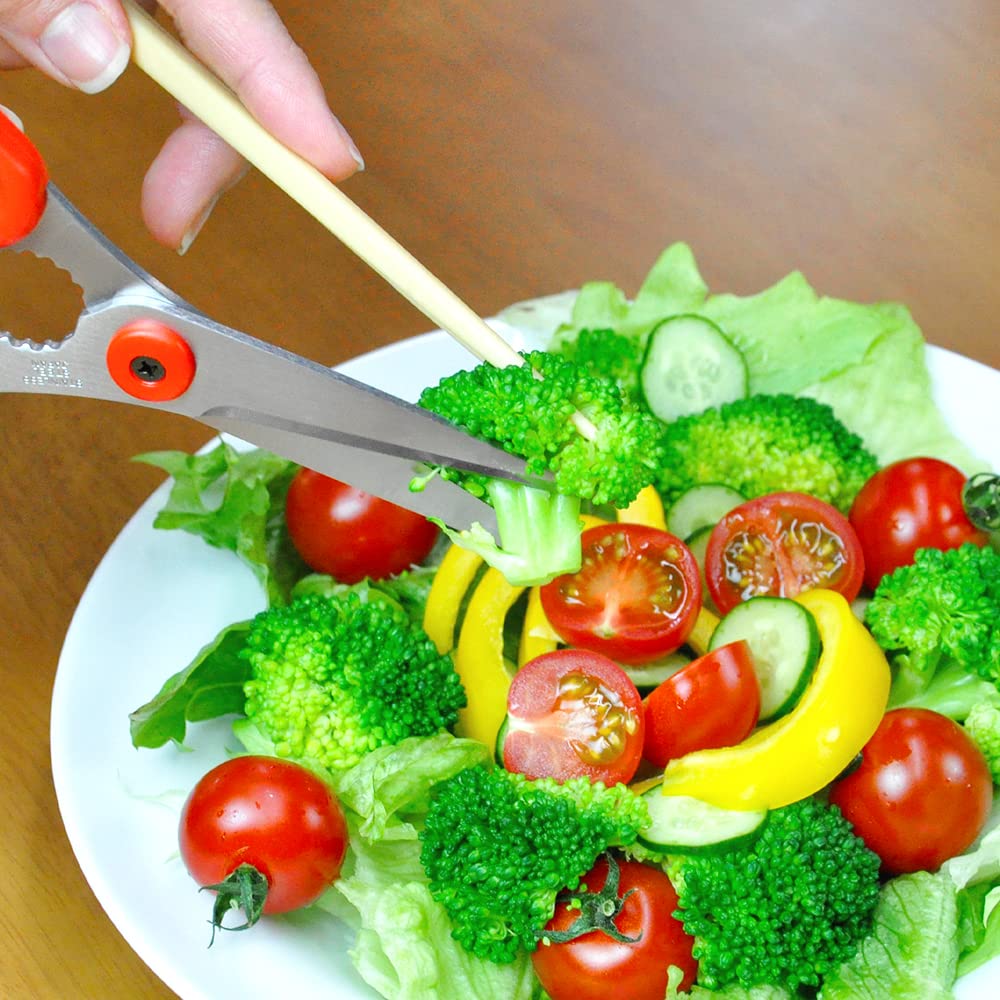 Hasegawa Besteckschere für Tisch- und Küchengebrauch Rot TH-175