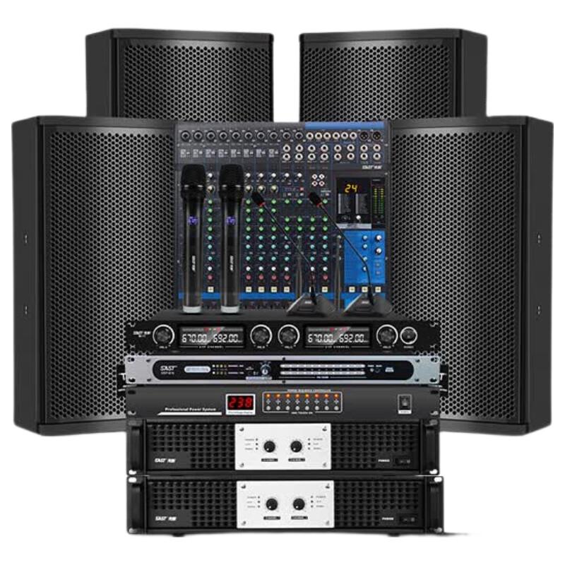 SAST Professional Stage Audio System Set (CN version)