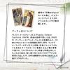 Smith-Waite Centennial Tarot in a Tin, 78 Mini-Size Tarot Cards, Authentic, with Japanese Instructions.