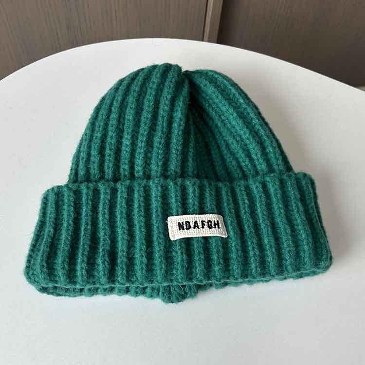 Autumn and Winter Cloth Label Ins Candy-colored Knitted Hat Children's Versatile Thickened Warm and Cold Ear Protective Wool Hat