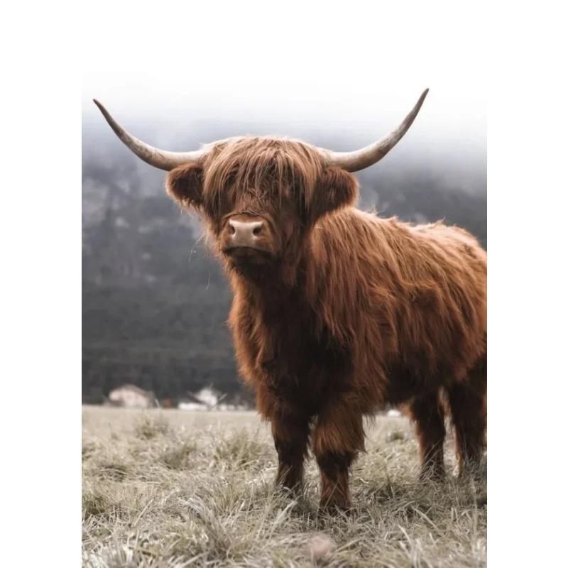 Scottish Highland Cow Wild Animal Nordic Nature Landscape Poster Canvas Painting Wall Art Pictures for Room Home Farmhouse Decor