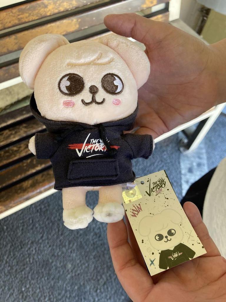 [USED] Straykids Official Plush Toy Papim