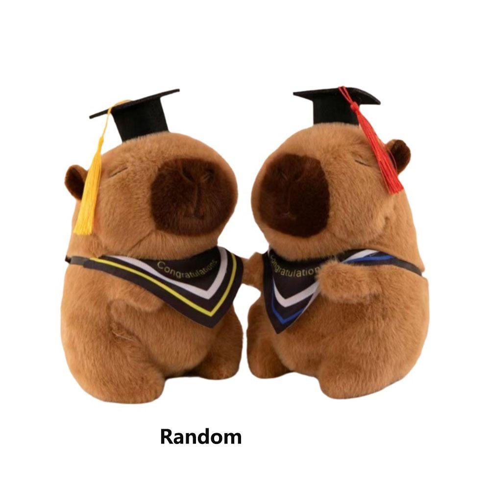 Cartoon Design Graduation Capybara Plush Toy 25 CM Doctor Hat Capybara Party Decor