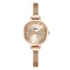 Simple And High-Value Creative Small Plate With Quartz Waterproof Women'S Student Niche Stainless Steel Watch
