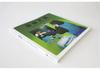 The Forest Bear: An Environmental Picture Book