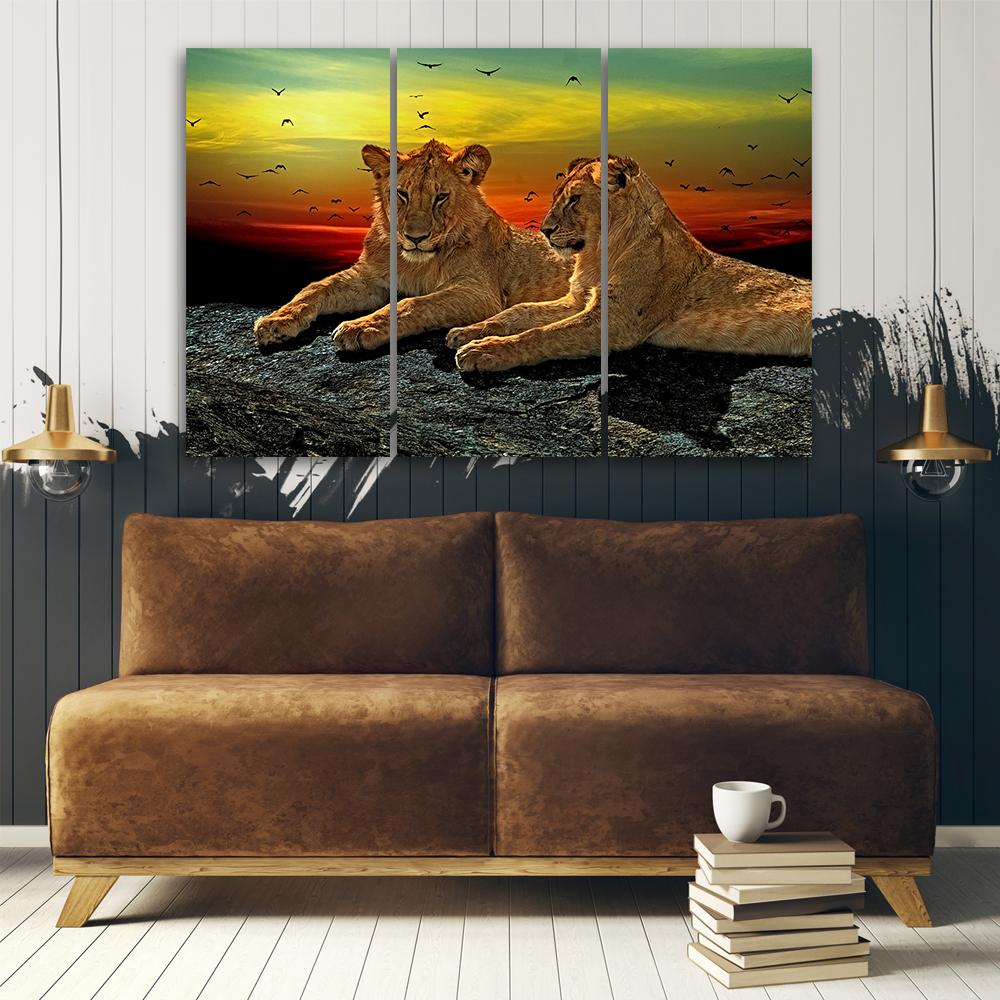 Three piece picture canvas print Lion Savanna Africa Nature